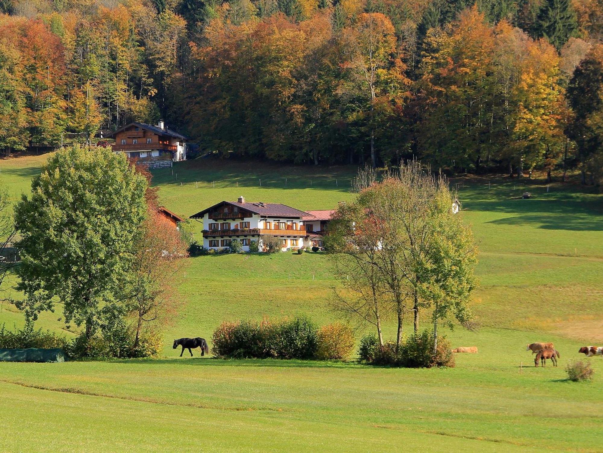 Obergoebllehen * Schoenau am Koenigsee